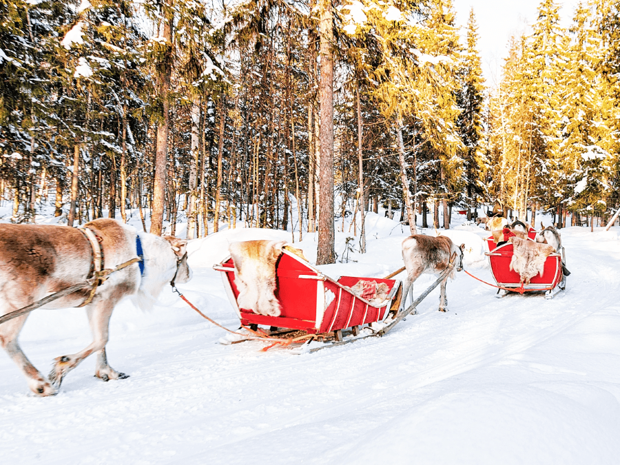 Phương tiện di chuyển trong mùa đông của người dân Châu Âu