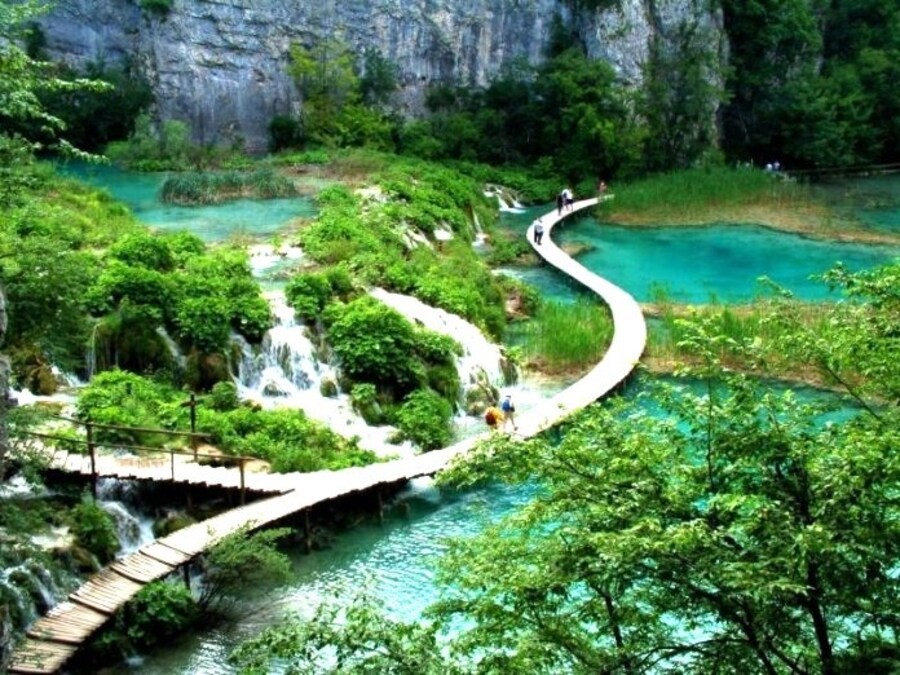 Vườn quốc gia Phú Quốc với thảm thực vật và hệ sinh thái đa dạng