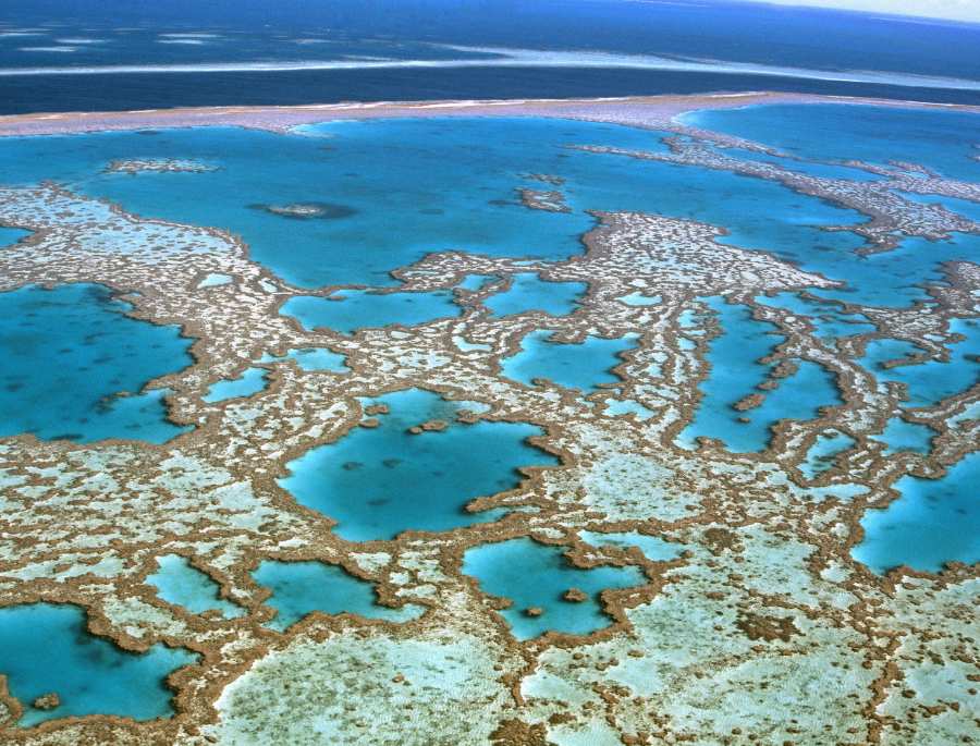 Great Barrier là rặng san hô lớn và đẹp nhất thế giới
