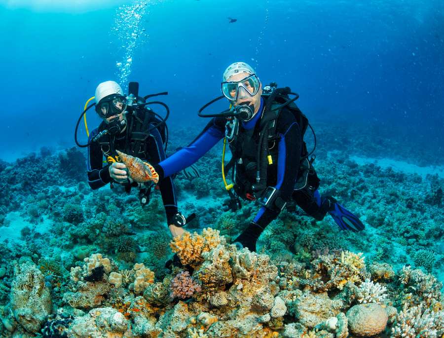 Việc trang bị đầy đủ vật dụng sẽ khiến hành trình lặn biển của bạn trở nên an toàn hơn