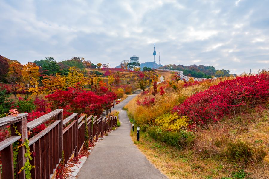 Khu vực tháp Namsan vào mùa thu