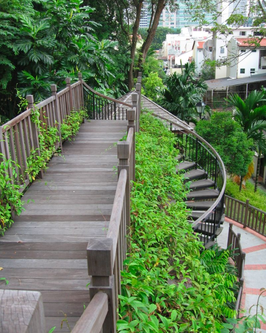 Nằm ẩn mình giữa nhịp sống sôi động của phố Tàu Chinatown Singapore, Ann Siang Hill Park như một ốc đảo xanh bình yên