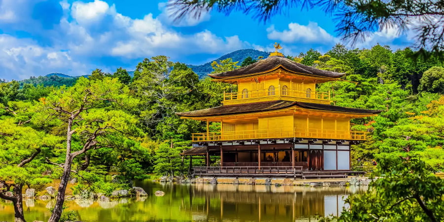Kinkakuji khoác lên mình một vẻ đẹp tươi tắn, rực rỡ mỗi khi hè về