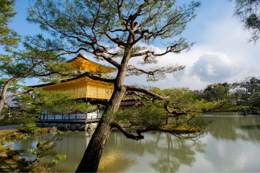 Chùa Kinkakuji sở hữu một lịch sử hình thành vô cùng thú vị và trải qua nhiều biến cố