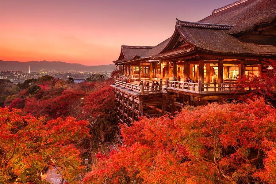 Chùa Kiyomizu như thấp thoáng ẩn mình giữa những hàng cây phong đỏ rực rỡ