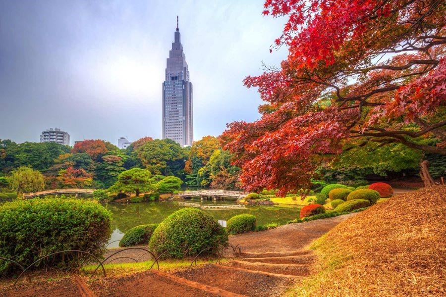 Vườn quốc gia Shinjuku Gyoen thuộc top những địa điểm ngắm khung cảnh lá đỏ đẹp nhất tại Nhật Bản
