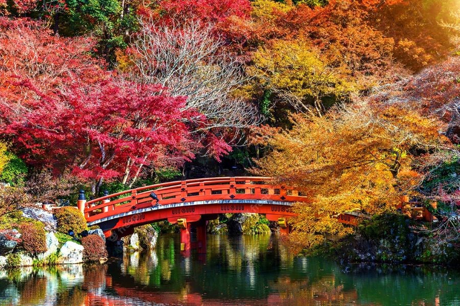 Công viên Shiretoko - Một trong những địa điểm ngắm lá đỏ mùa thu hot hit tại Nhật Bản