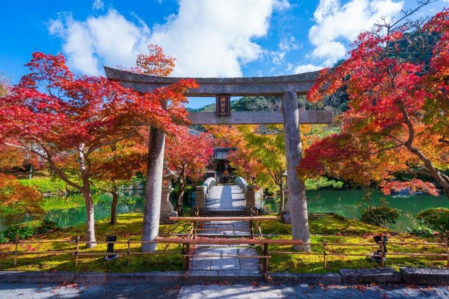 Ngắm mùa lá đỏ siêu đẹp tại Cố đô Kyoto