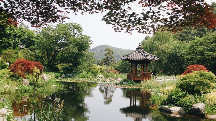 Khung cảnh bình yên tại Morning Calm