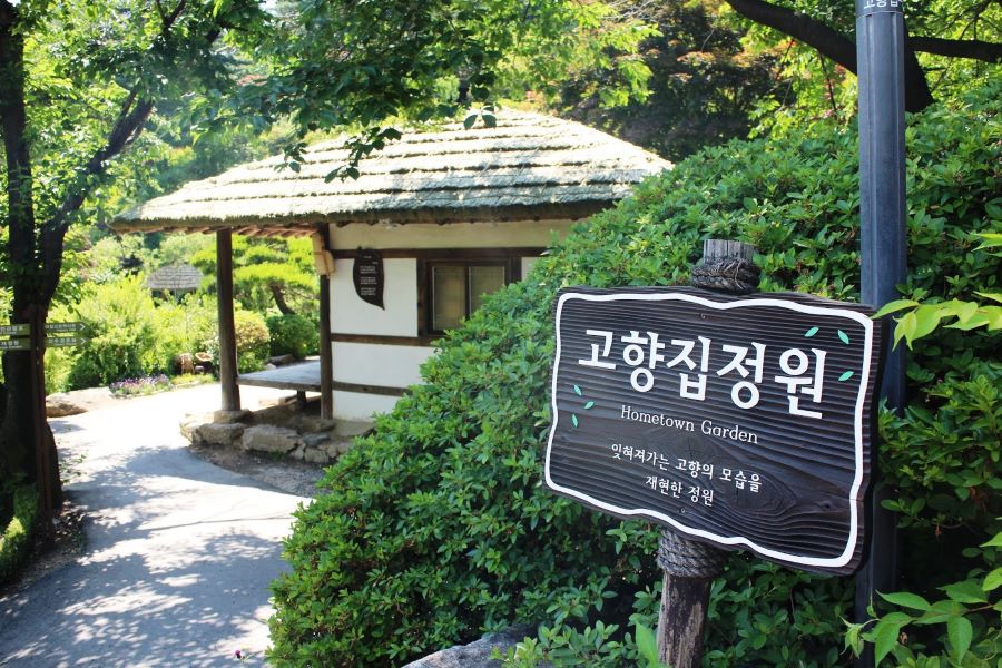 Lạc lối trong khu vườn Morning Calm xinh đẹp tại xứ Hàn