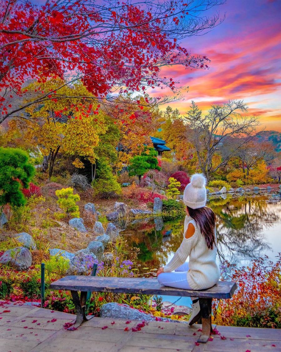 Những bức ảnh sống ảo siêu xịn tại Morning Calm