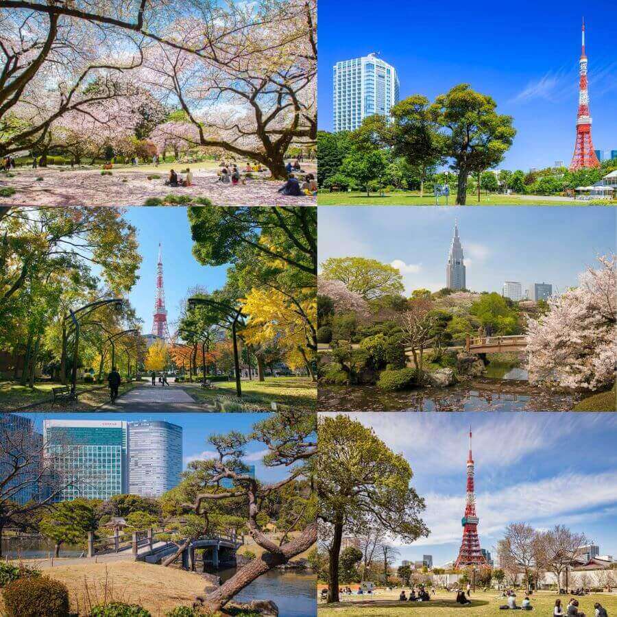 “Lạc lối” trong những công viên đẹp nhất ở Tokyo Nhật Bản
