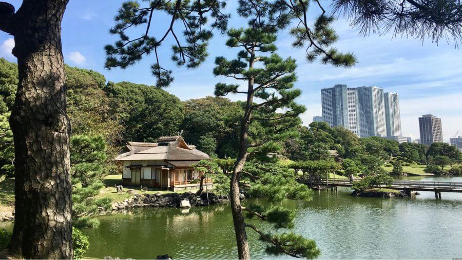  Hama Rikyu mang trong mình vẻ đẹp kết hợp hài hòa giữa kiến trúc truyền thống Nhật Bản và cảnh quan thiên nhiên tươi tắn