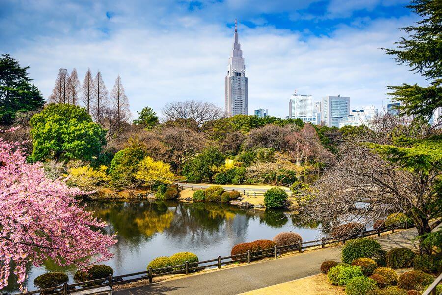 Vườn quốc gia Shinjuku Gyoen, một ốc đảo xanh giữa lòng Tokyo nhộn nhịp