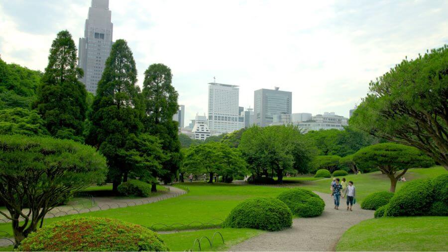 Vườn quốc gia Shinjuku Gyoen xứng đáng được mệnh danh là một trong những công viên đẹp nhất thành phố