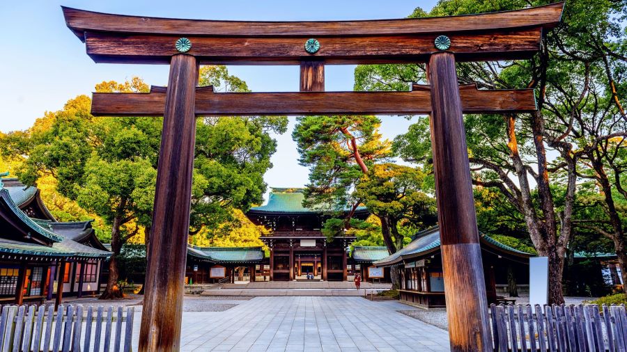 Bước qua cổng Torii, bạn sẽ cảm nhận được bầu không khí thanh bình và linh thiêng bao trùm lấy nơi đây