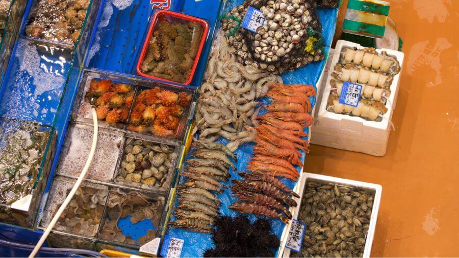 Chợ Noryangjin không chỉ là nơi cung cấp nguồn hải sản dồi dào cho người dân Seoul mà còn là điểm thu hút khách du lịch trong và ngoài nước