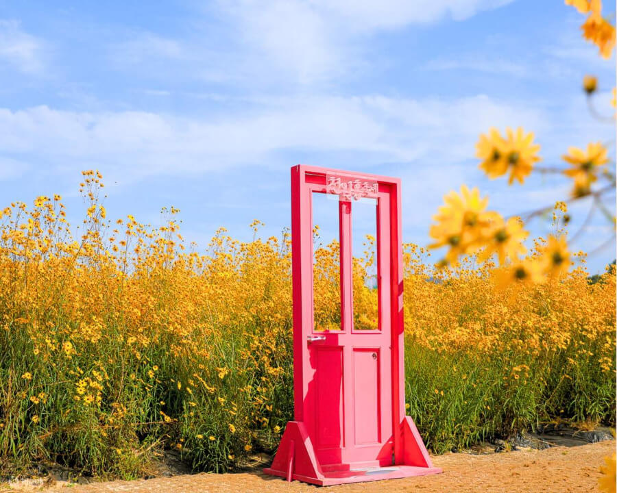 Đến với công viên Nari, các tín đồ du lịch Hàn Quốc sẽ có cơ hội được đắm mình trong khung cảnh thiên nhiên tuyệt đẹp