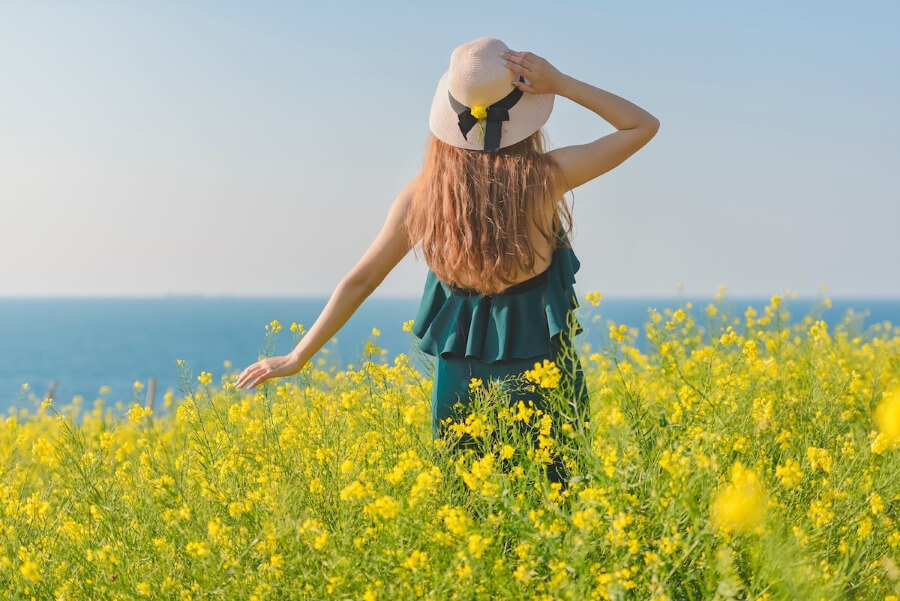 Mê mẩn sắc vàng hoa cải dầu ở Sanbangsan