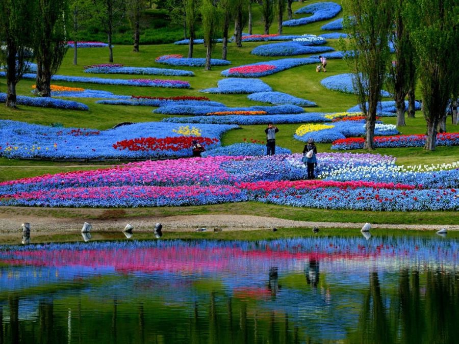 Những công viên xinh đẹp ngập tràn hoa tại Nhật