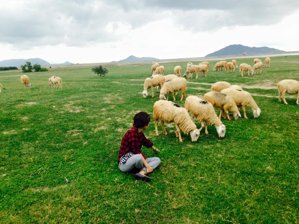 Làng cối xay gió Hà Lan và "bí mật" ẩn chứa bên trong