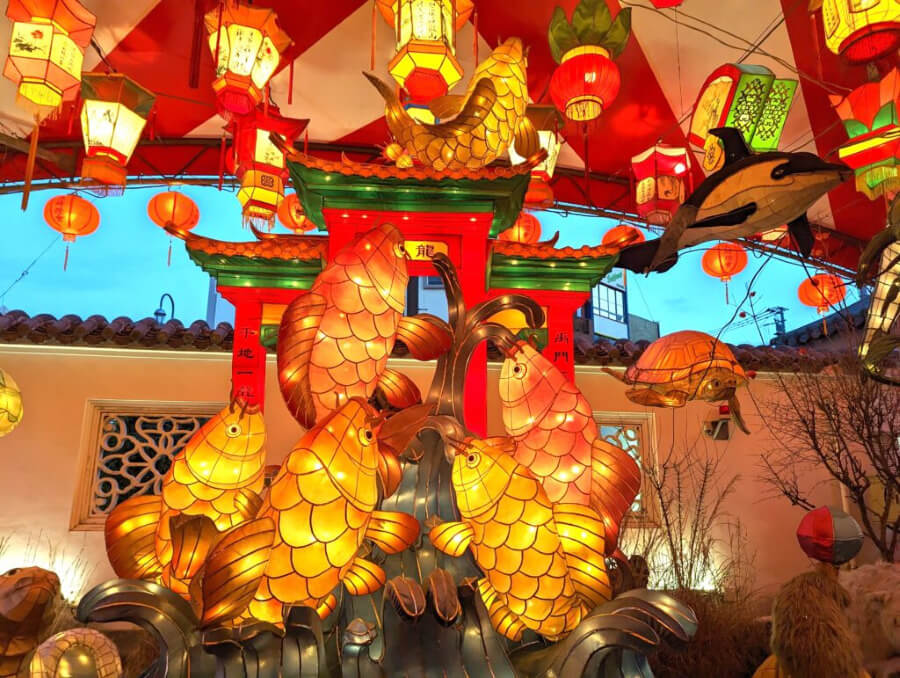 Lễ hội đèn lồng - Cầu nối văn hóa giữa Nhật Bản và Trung Quốc