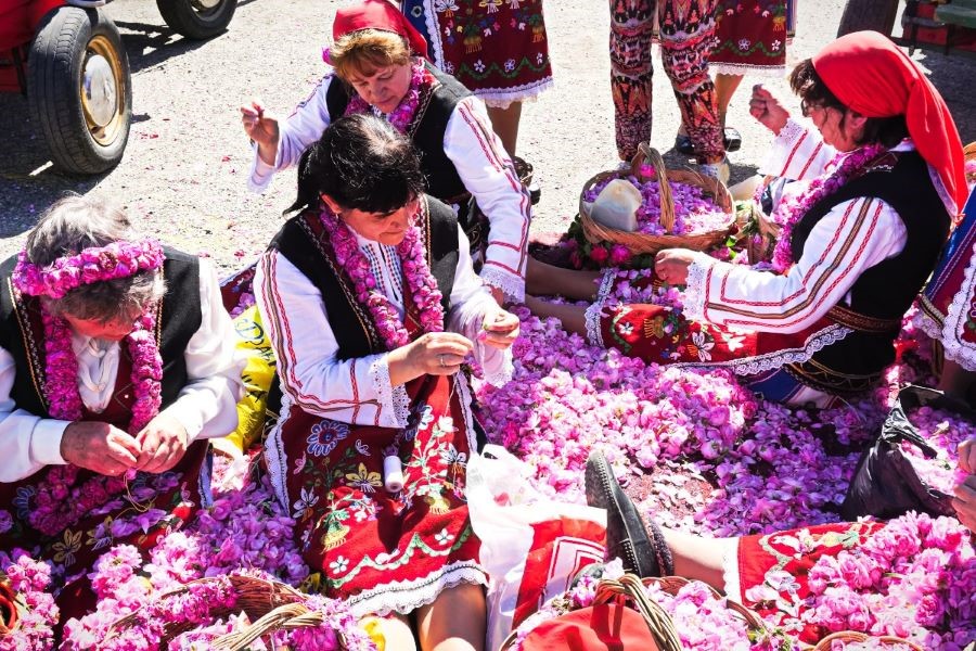 Các hoạt động tại lễ hội vô cùng hấp dẫn, thu hút lượng lớn khách du lịch