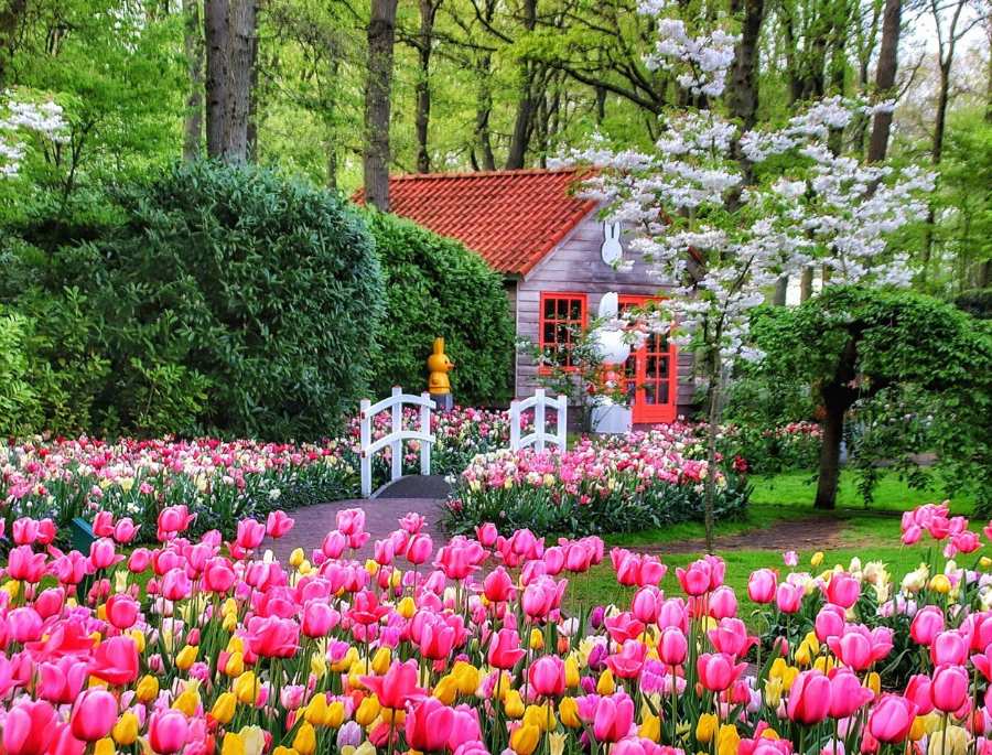 Khung cảnh nên thơ bên trong khu vực diễn ra lễ hội