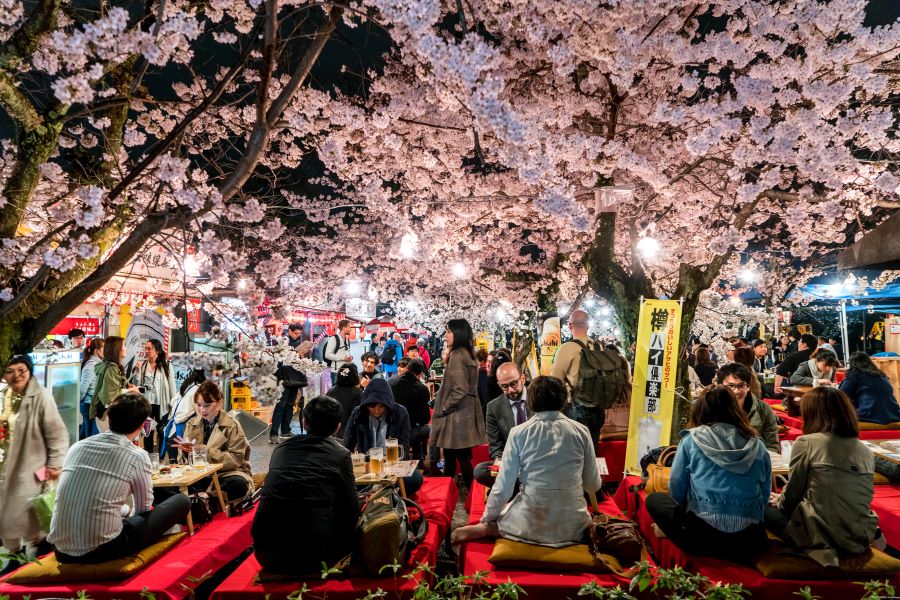 Lễ hội ngắm hoa anh đào Hanami có lịch sử lâu đời từ hàng nghìn năm trước