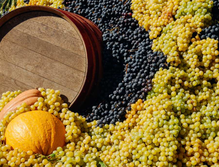 Lễ hội là nơi tôn vinh những sản phẩm rượu nổi tiếng của Tây Ban Nha, cũng như đánh dấu một mùa vụ mới