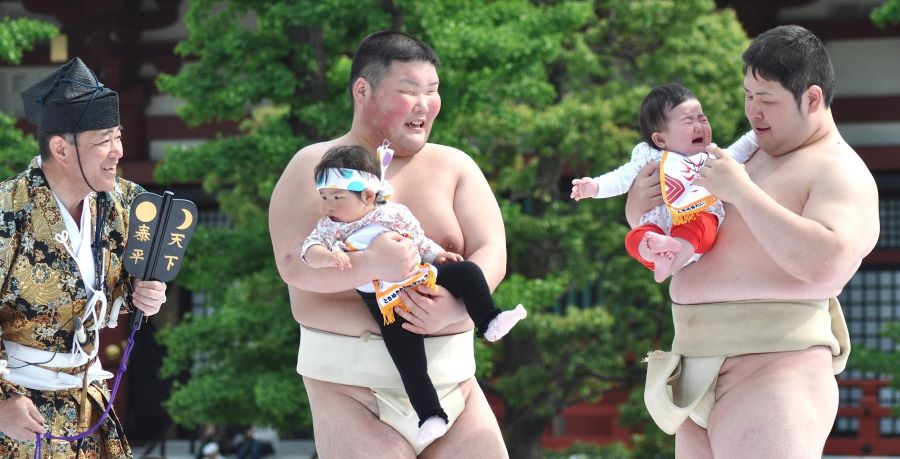 Những ảnh ảnh đáng yêu của võ sĩ Sumo Nhật Bản