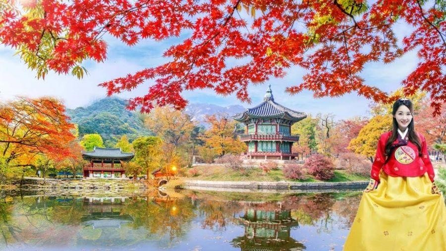 Mùa thu Hàn Quốc là một thời điểm vàng để ngắm một phong cảnh lá đỏ ngợp trời