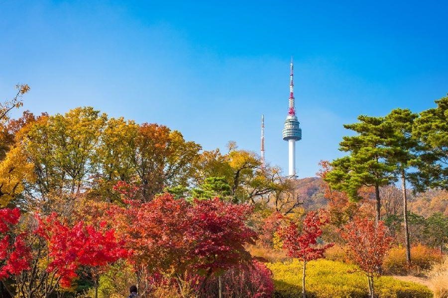 Namsan – Trái tim của thủ đô Seoul
