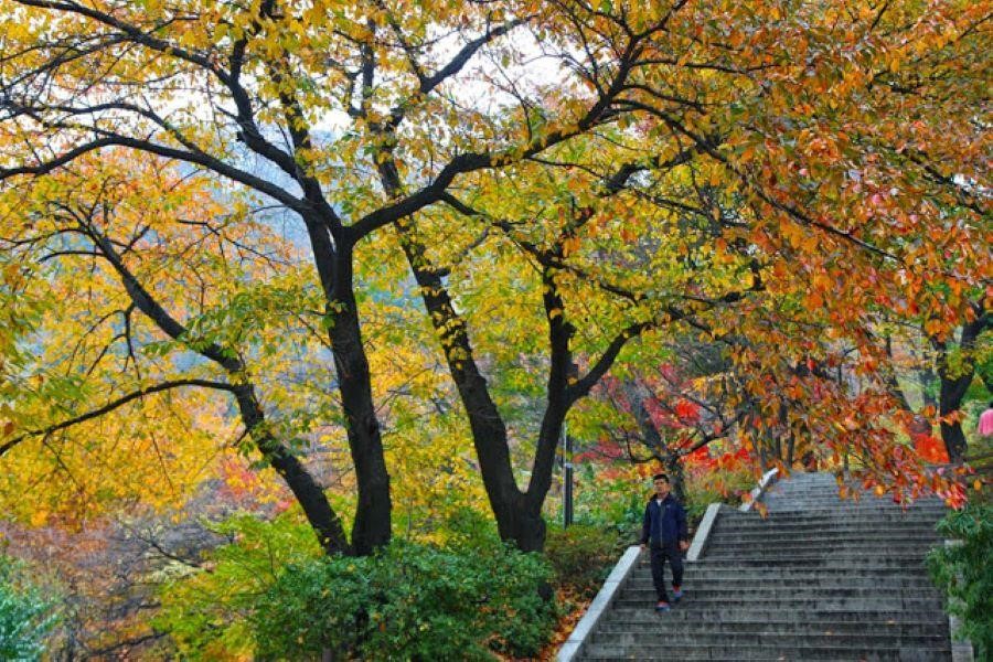 Namsan – Trái tim của thủ đô Seoul