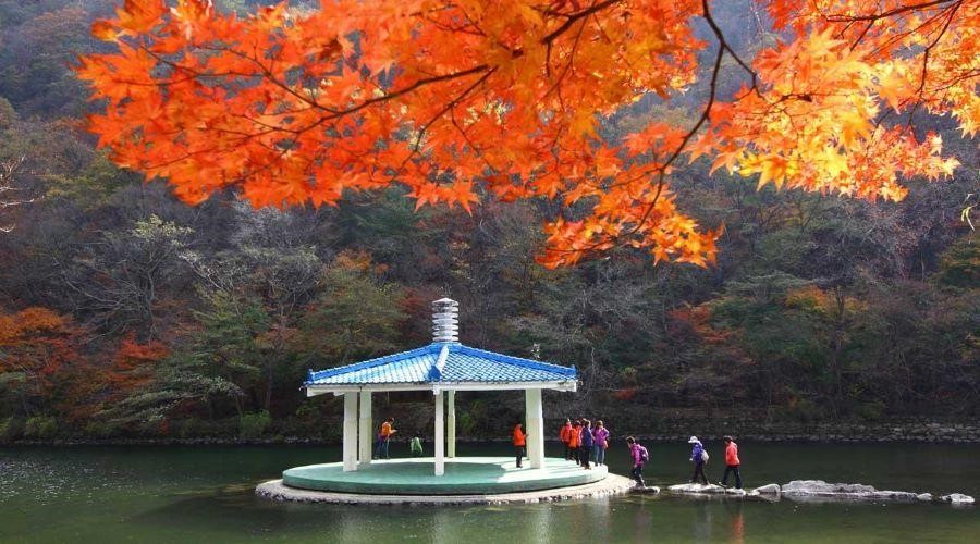 Núi Naejangsan thiên đường để chụp ảnh