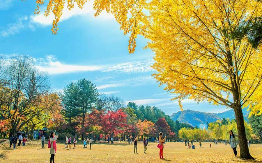 Núi Naejangsan thiên đường để chụp ảnh