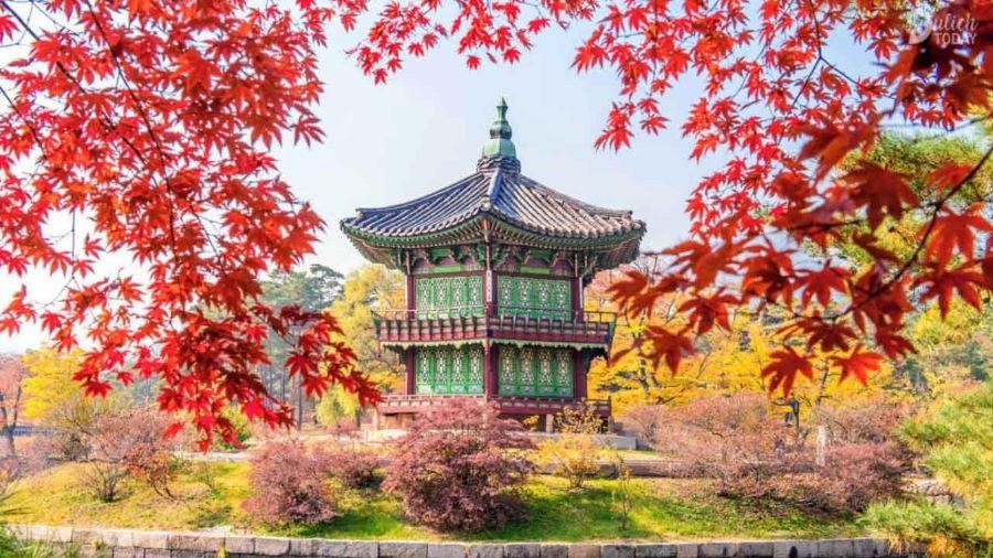Những địa điểm cực kì đẹp và lý tưởng để ngắm mùa thu lá đỏ Hàn Quốc