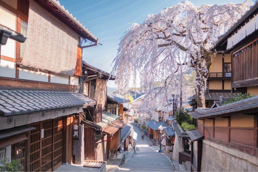 Đến Kyoto vào mùa hoa anh đào, bạn không chỉ được chiêm ngưỡng cảnh đẹp mà còn được trải nghiệm văn hóa đặc sắc của Nhật Bản