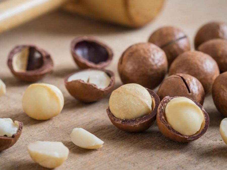Hạt macadamia, với nguồn dinh dưỡng phong phú và hương vị tự nhiên tuyệt vời
