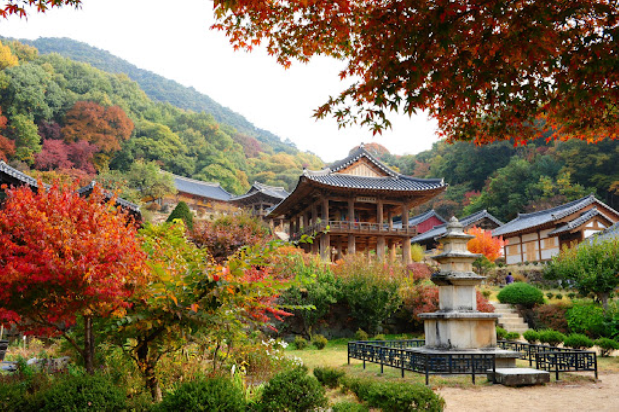Tháng 9, khi tiết trời Hàn Quốc dịu mát, đừng bỏ lỡ cơ hội chiêm ngưỡng vẻ đẹp cổ kính của chùa Songgwangsa nhé!