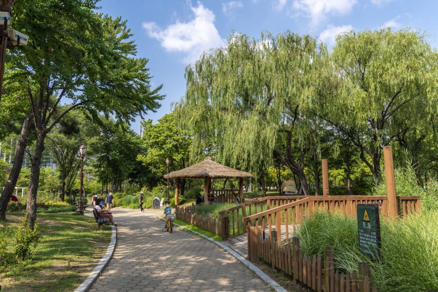 Công viên Yeouido - Viên ngọc xanh giữa lòng Seoul sôi động