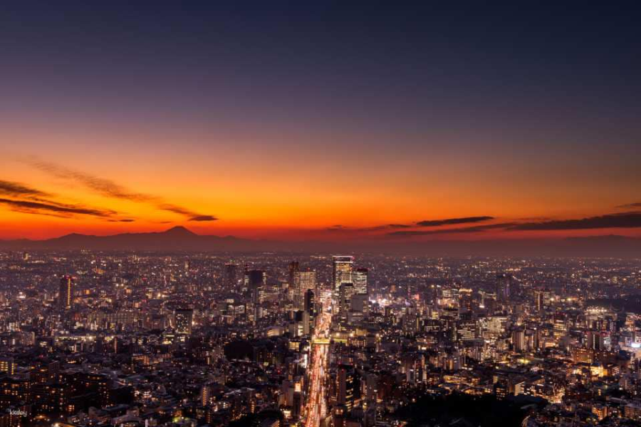 Tháp Mori Roppongi Hills là một trong những tòa nhà cao nhất Tokyo mà bạn không được bỏ qua khi đi du lịch Nhật Bản