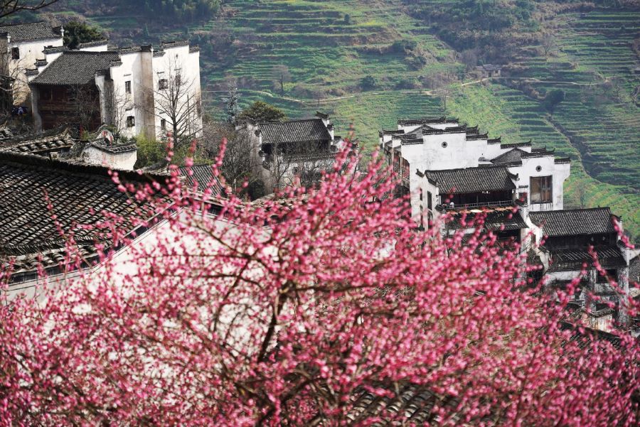 Vụ Nguyên hiện ra trước mắt như một bức tranh thủy mặc vô cùng chân thực và sống động