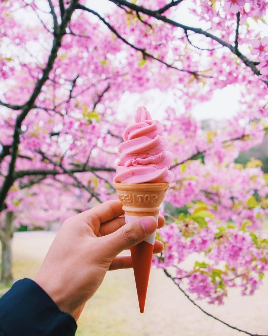 Kem hoa anh đào đặc biệt thu hút thực khách thưởng thức vào mùa xuân