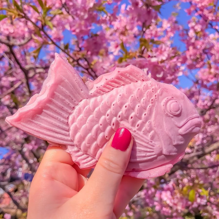 Bánh cá Taiyaki anh đào - món bánh yêu thích của đông đảo người dân nước Nhật