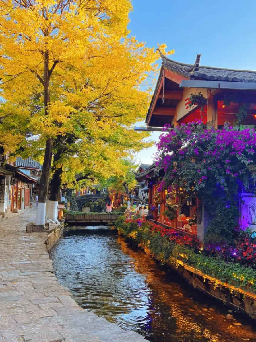 Mùa thu Lệ Giang kéo dài từ khoảng tháng 9 đến tháng 11, là khoảng thời gian lý tưởng để du khách khám phá vẻ đẹp nên thơ của thành phố cổ