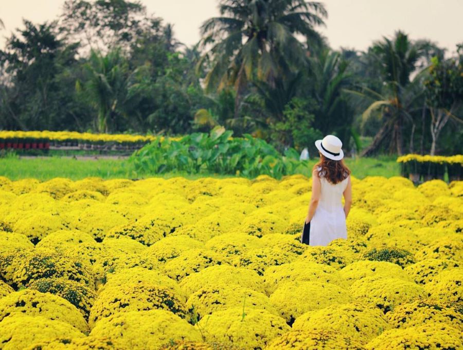 Làng hoa Thới Nhựt được xem là một điểm du lịch nổi tiếng về nghệ thuật trồng hoa kiểng ở miền Tây