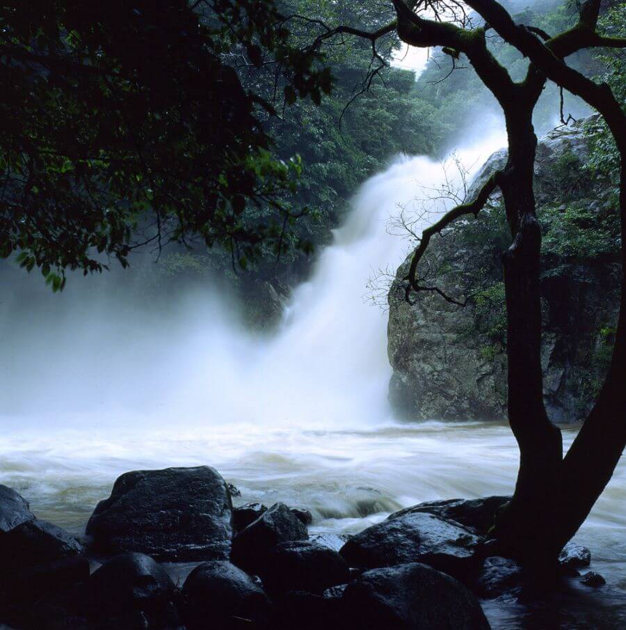 Thác Yongchu là một trong những thác nước nổi tiếng và được yêu thích nhất tại Hàn Quốc