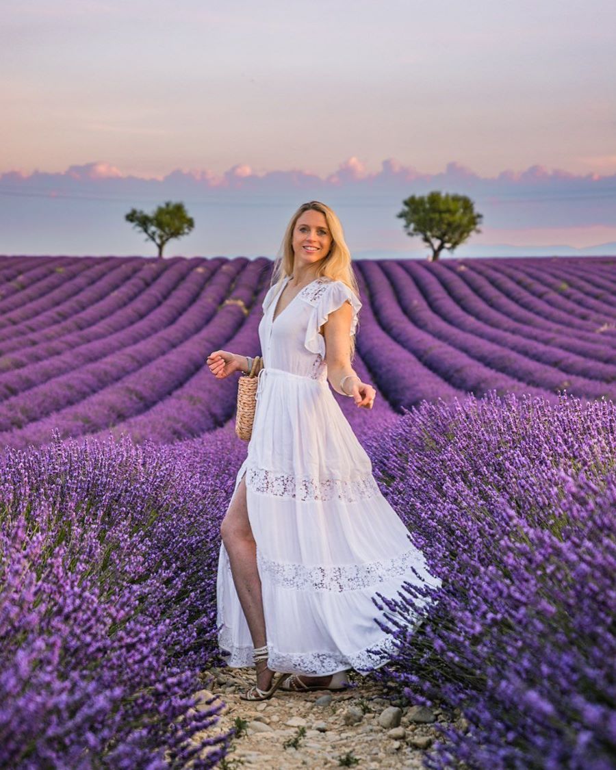 Các cánh đồng Lavender Pháp hiện lên như một bức tranh tuyệt đẹp khiến bao người phải say đắm không thôi