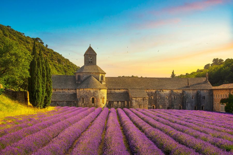 Cánh đồng hoa Lavender ở Gordes là tọa độ không thể bỏ qua trong hành trình khám phá vẻ đẹp Lavender nước Pháp